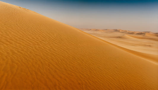 Desert Dune Dreams Wall Mural