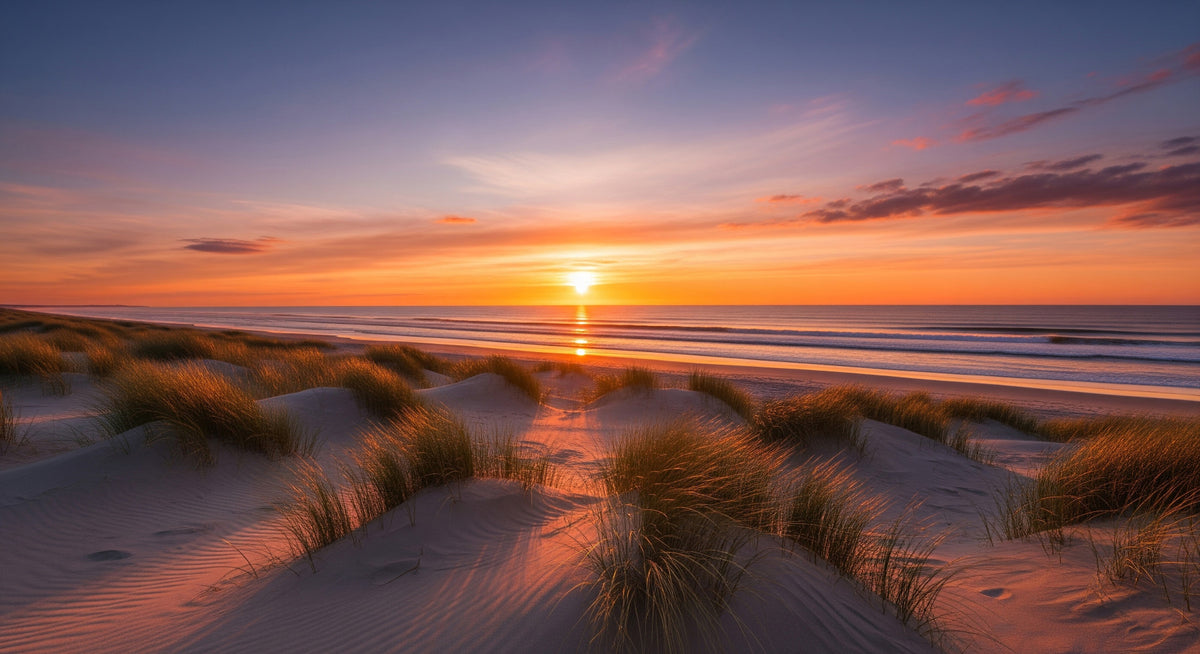 Golden Dune Dawn Wall Mural in your room — zoomed