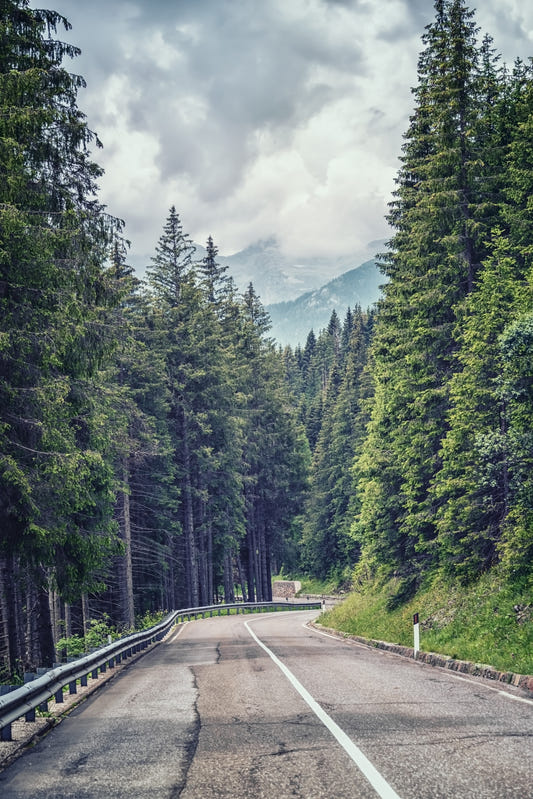 Mountain Road Vista Wall Mural