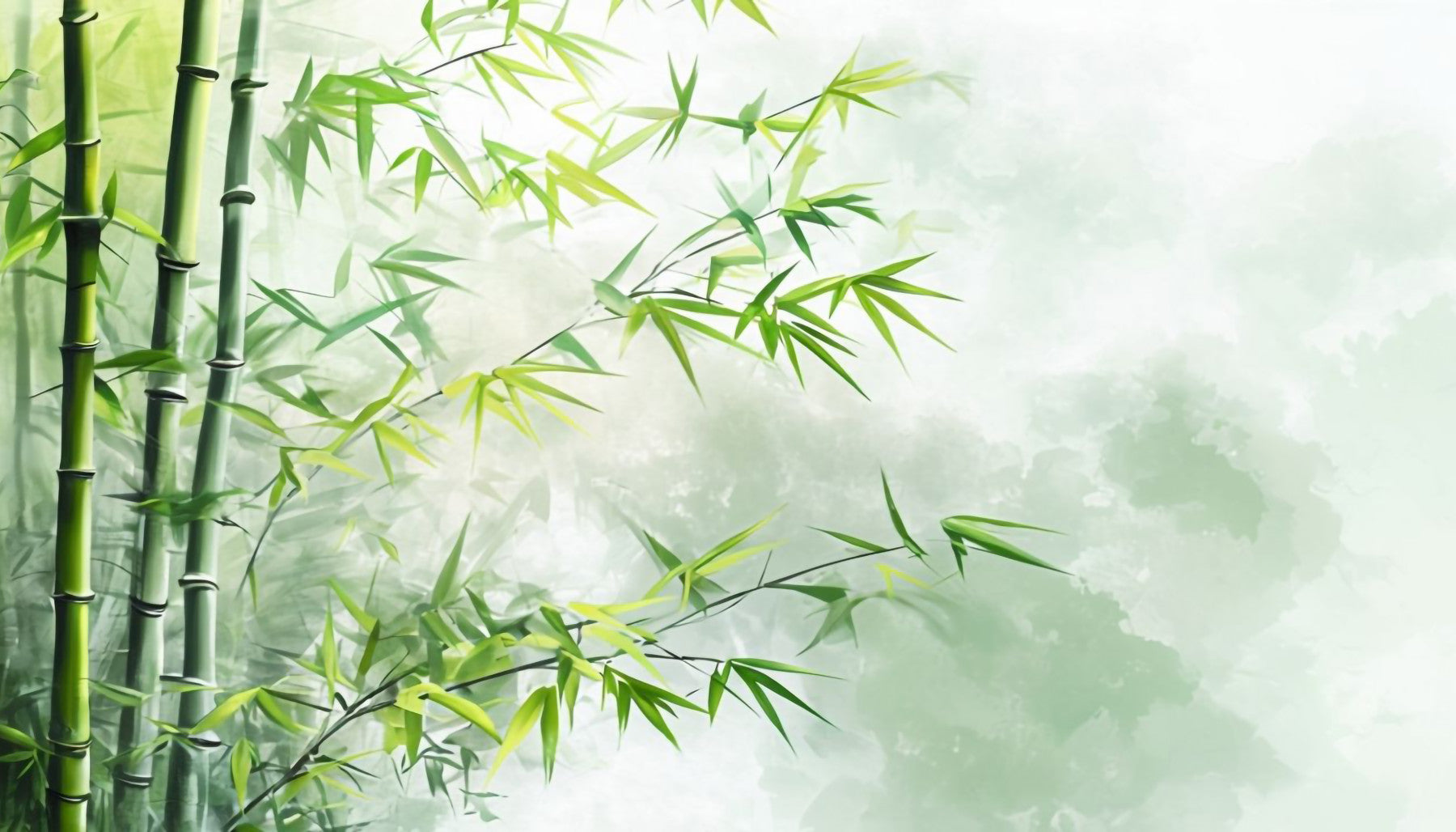 Tranquil Bamboo Wall Mural