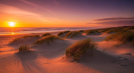 Golden Hour Dunes Wall Mural