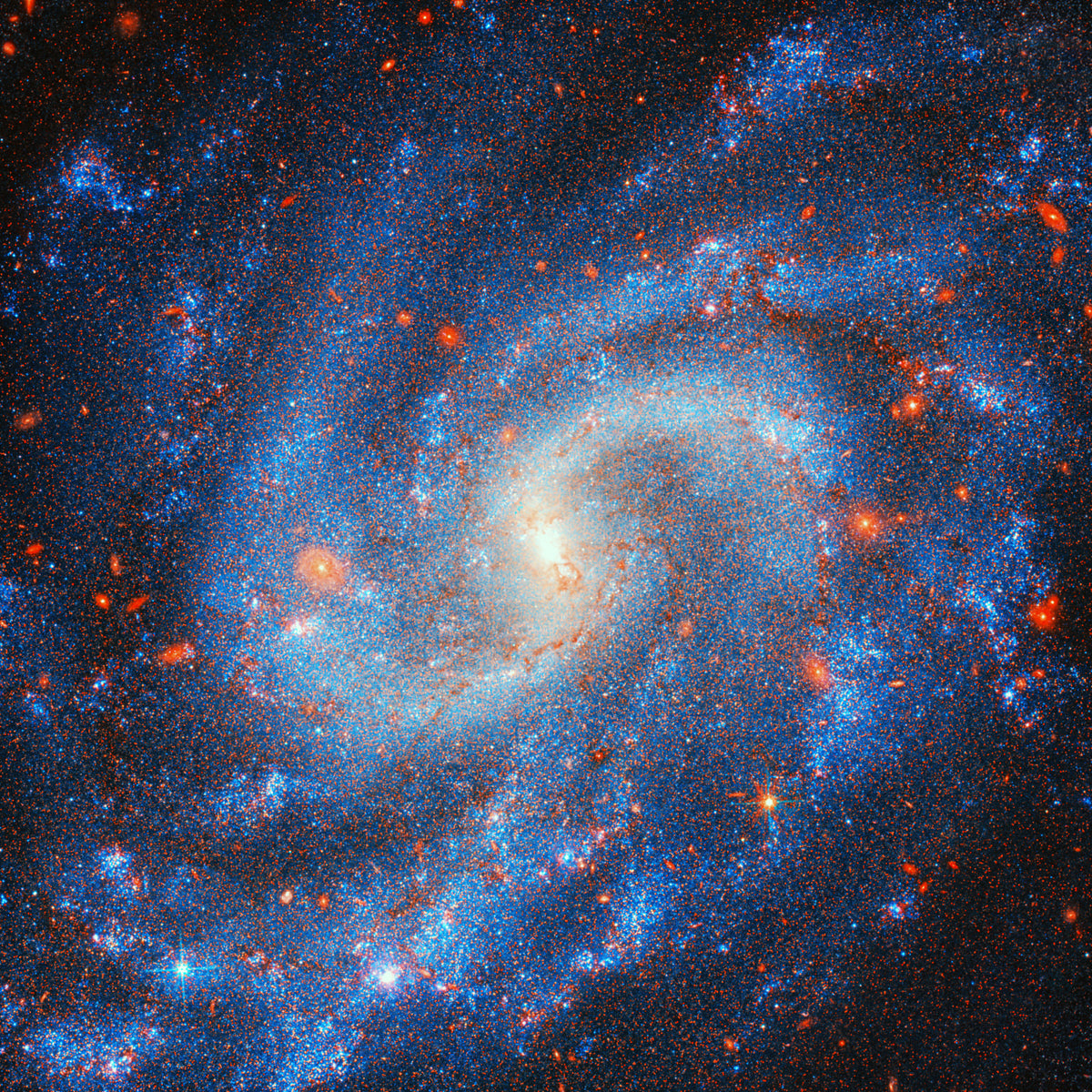 Distant Starfield Wall Mural in your room — zoomed