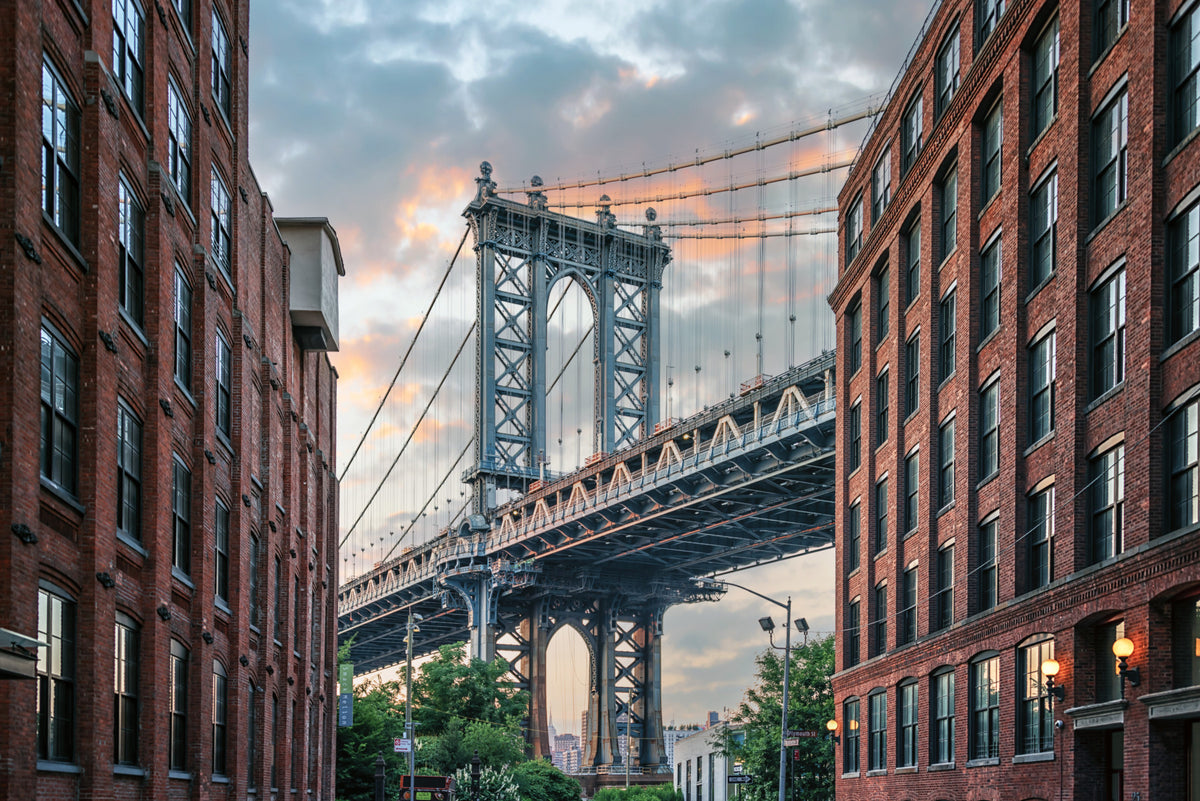 Manhattan Bridge Vista Wall Mural in your room — zoomed
