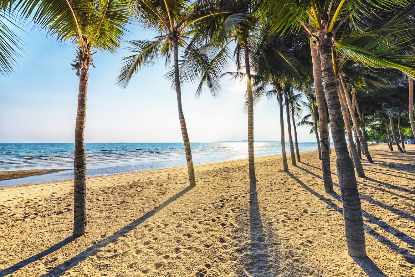 Golden Beach Palms Wall Mural