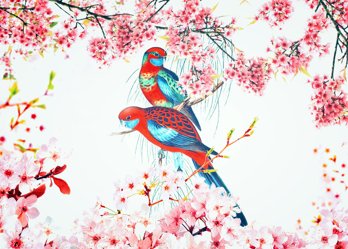 Blossom Birds Wall Mural