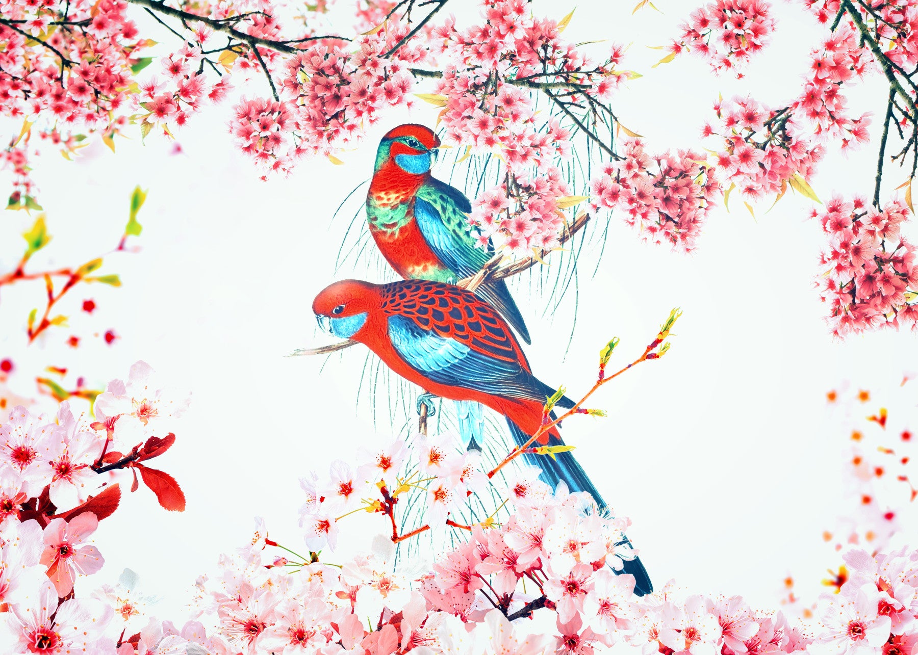 Blossom Birds Wall Mural