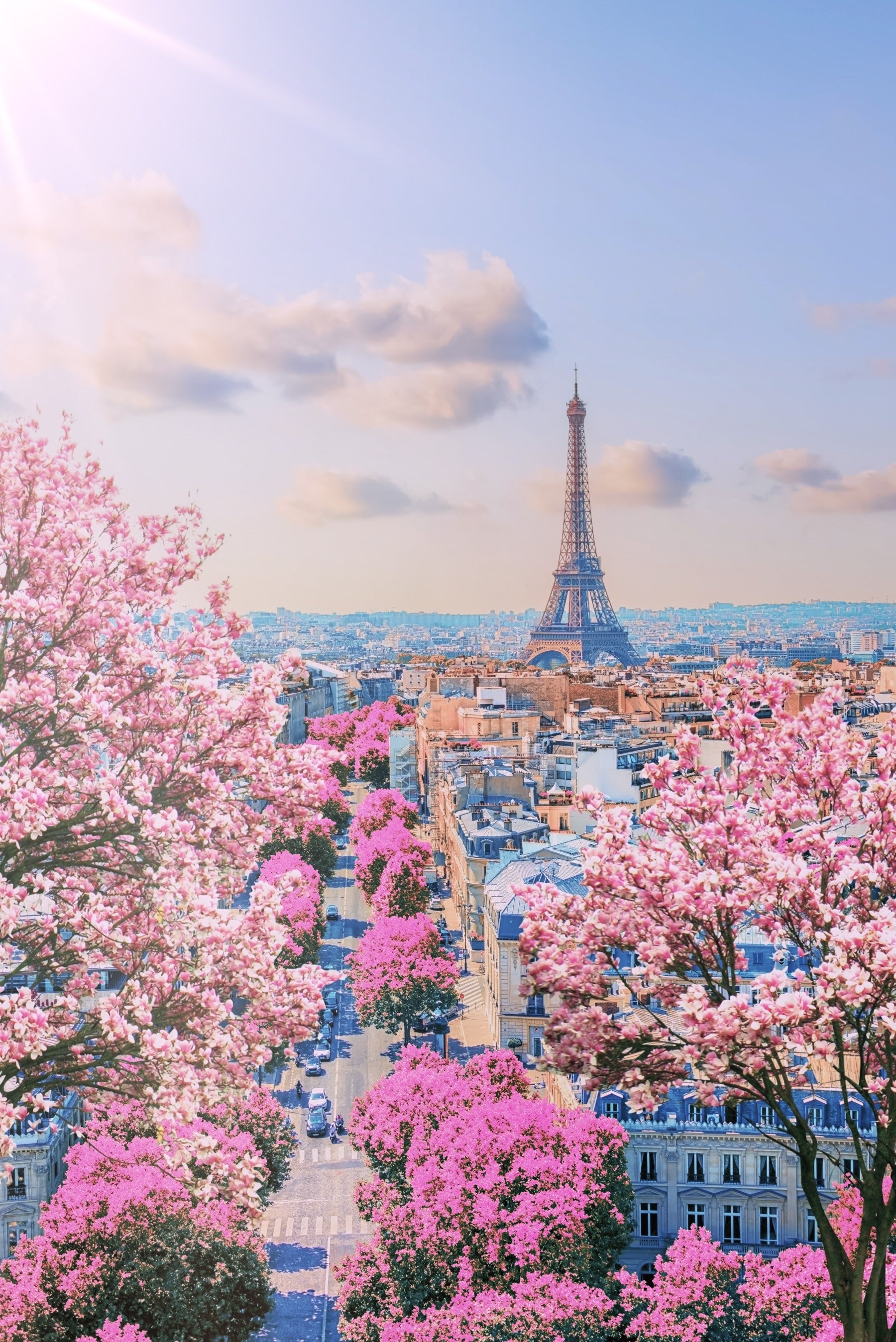 Parisian Spring Wall Mural