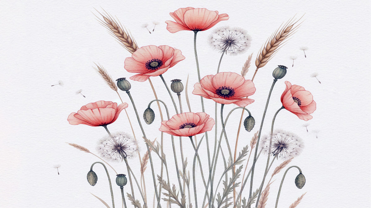 Painted Poppy Meadow Wall Mural