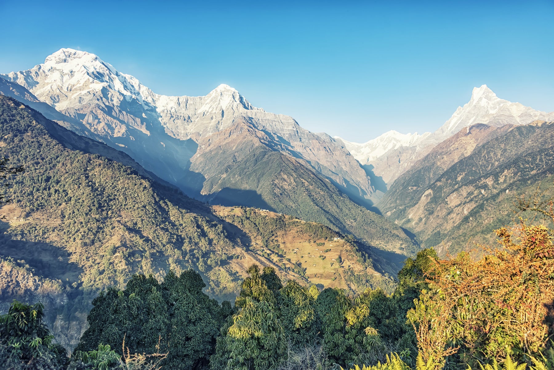 Himalayan Landscape Wall Mural