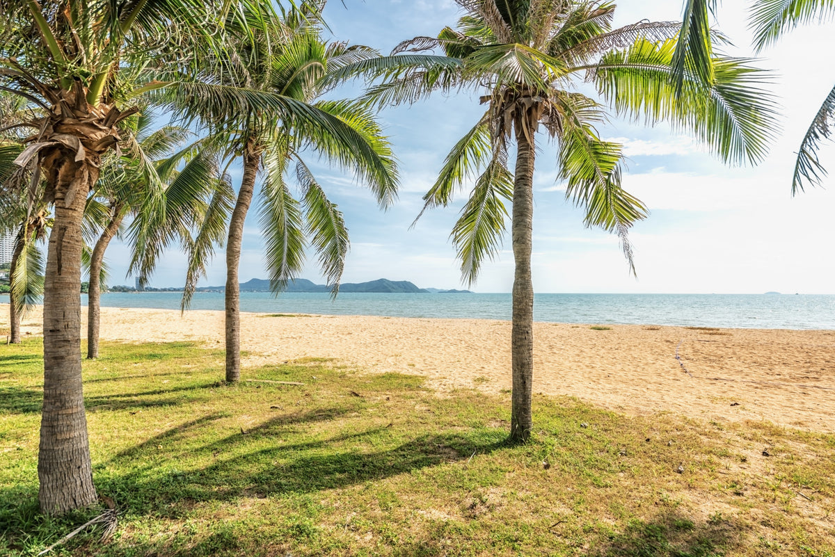 Tropical Beach Calm Wall Mural
