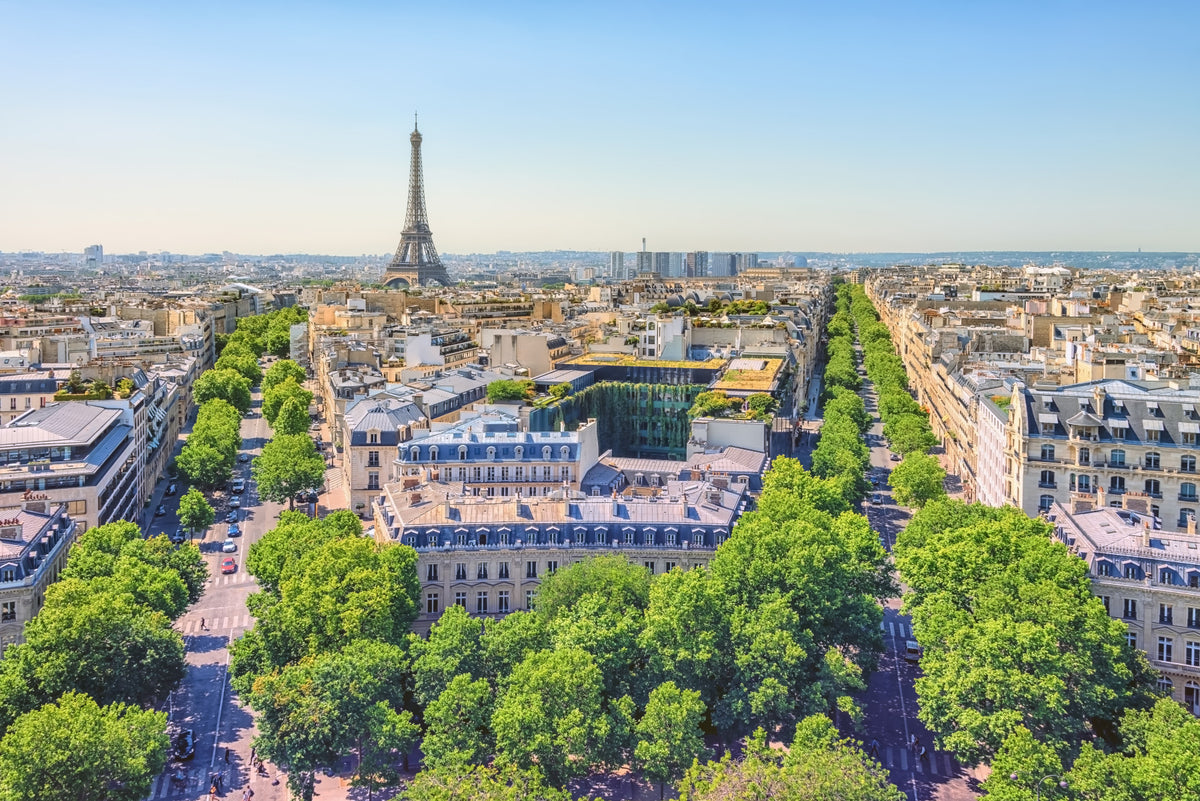 Parisian Heights Wall Mural