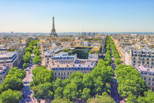 Parisian Heights Wall Mural