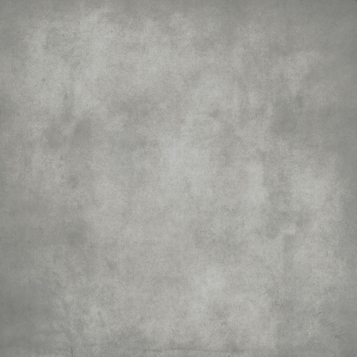 Dirty Paper - Greige Wall Mural