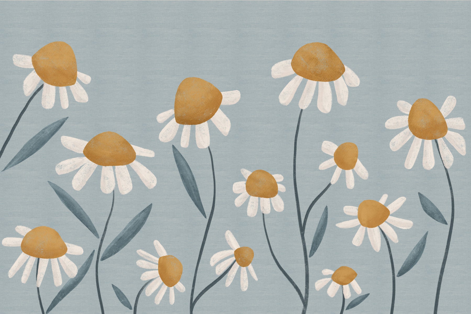 Sunny Daisy Field Wall Mural