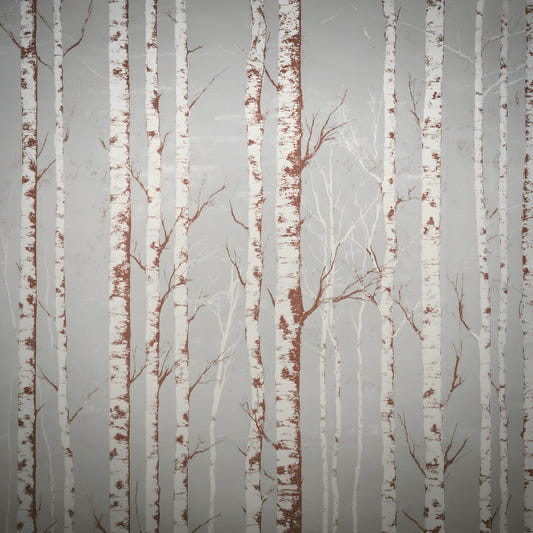 Winter Birch Beauty Wall Mural