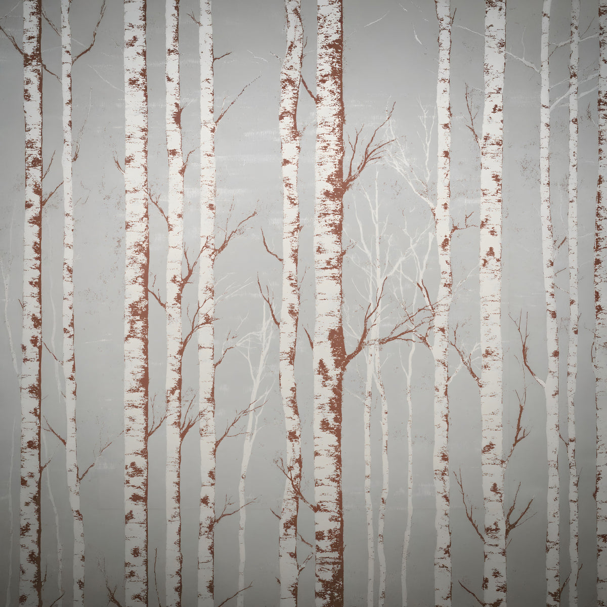 Winter Birch Beauty Wall Mural