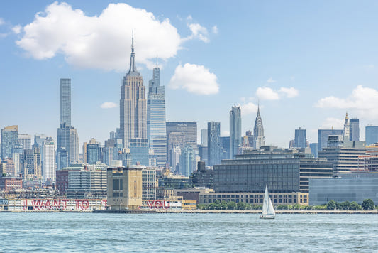 New York Skyline View Wall Mural