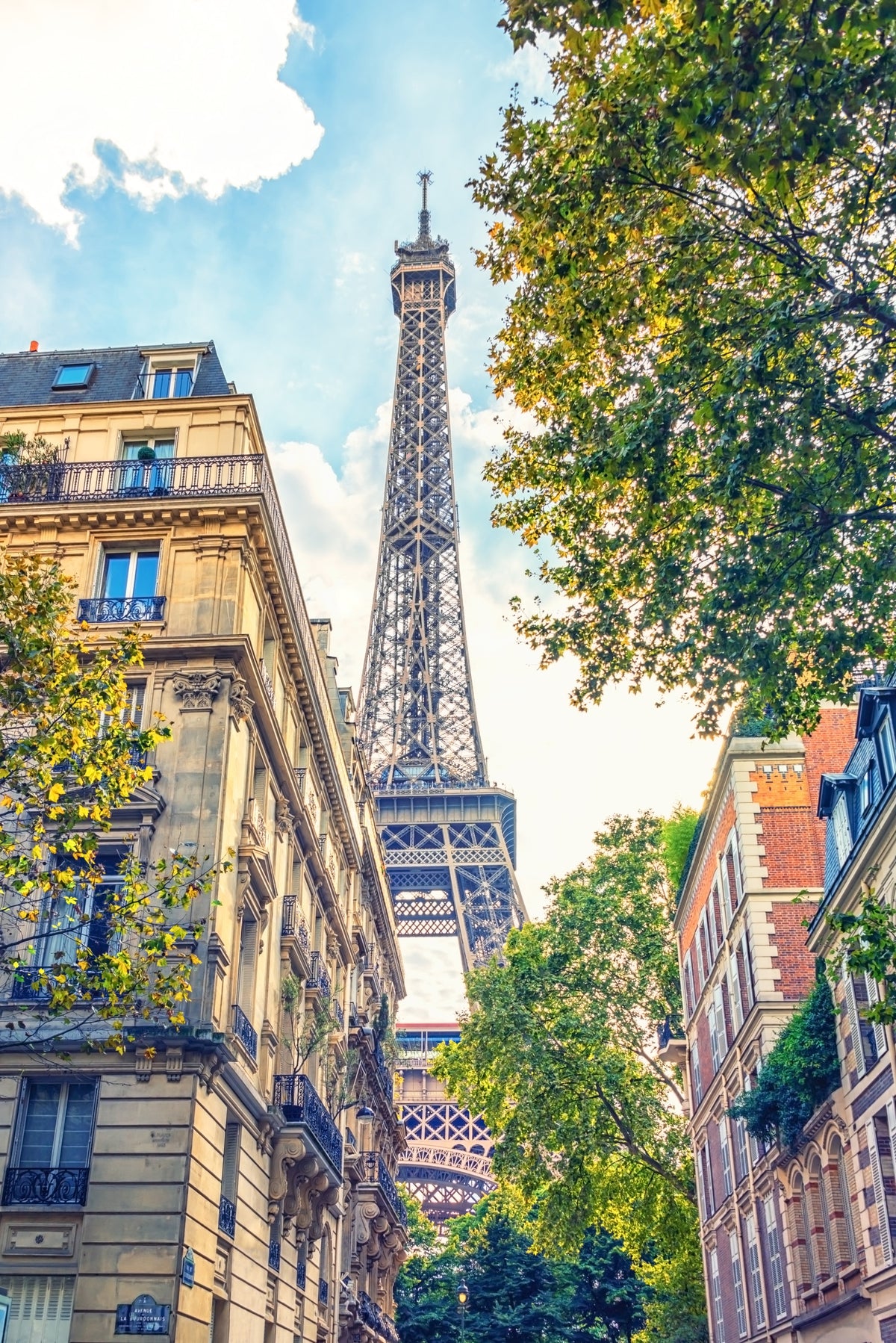 Eiffel Elegance Wall Mural in your room — zoomed