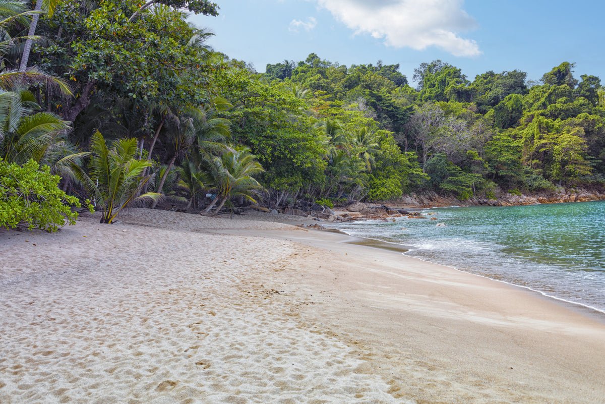 Tropical Beach Haven Wall Mural