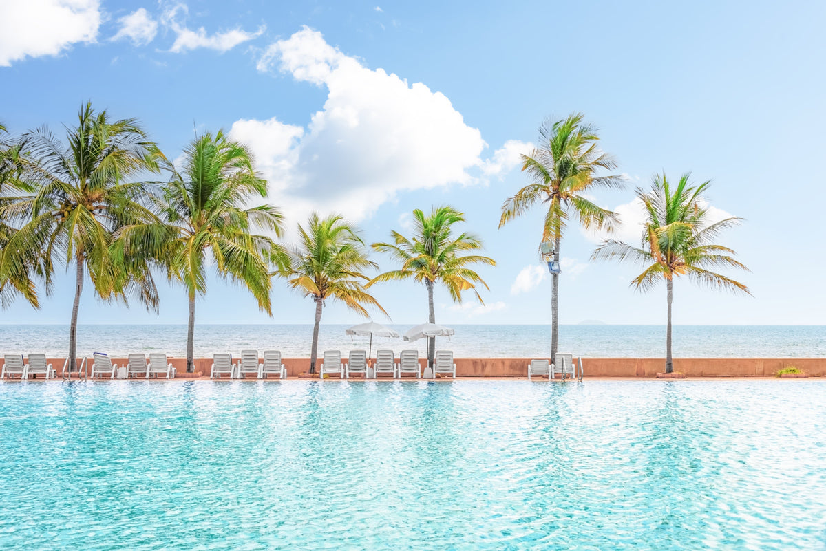 Palm Pool Escape Wall Mural