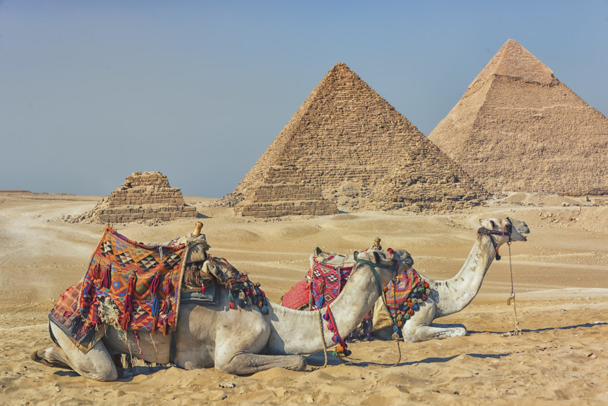 Giza Wall Mural in your room — zoomed