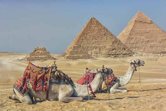 Giza Wall Mural
