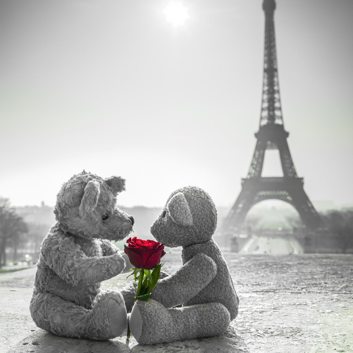 Teddy Bears in Love  Wall Mural in your room — zoomed