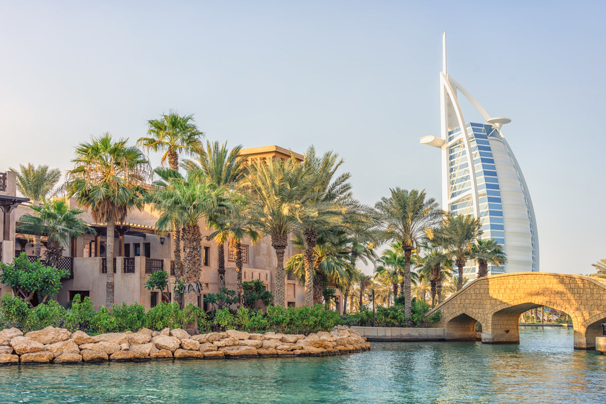 Dubai Oasis Wall Mural