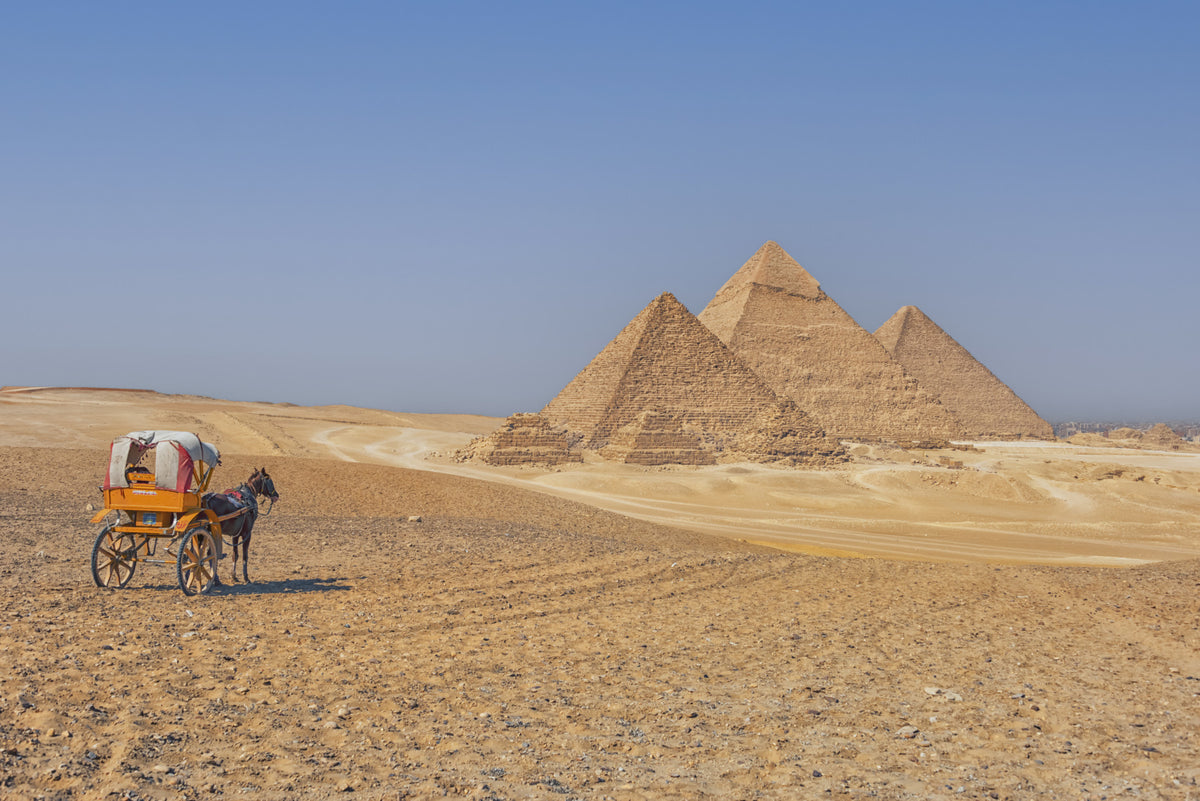Pyramids of Giza Wall Mural