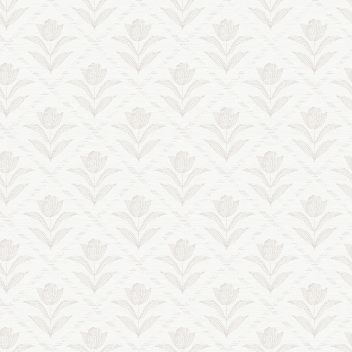 Tulip Cream Wallpaper⁠