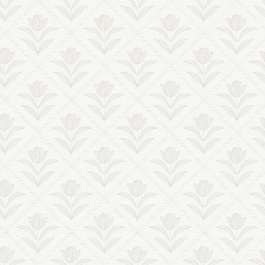 Tulip Cream Wallpaper⁠