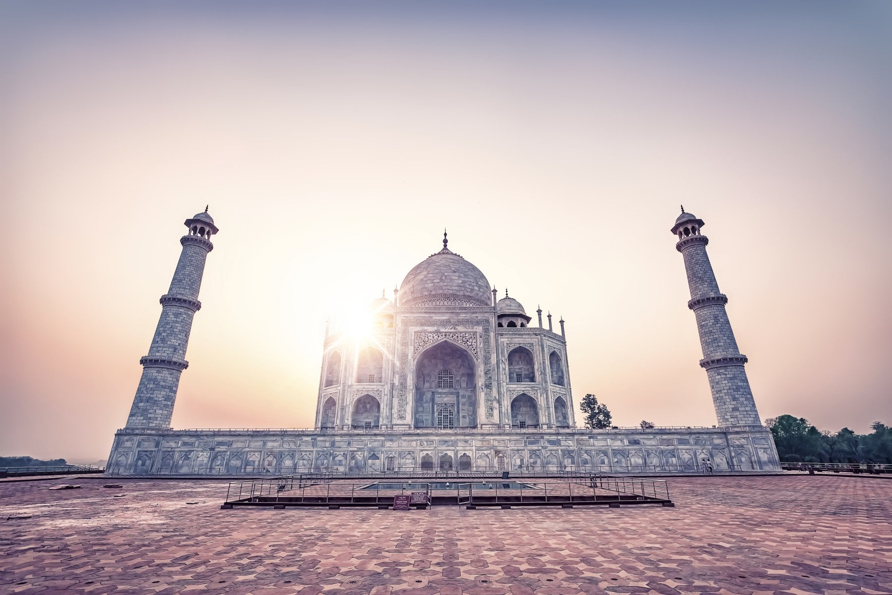 Taj Mahal Majesty Wall Mural