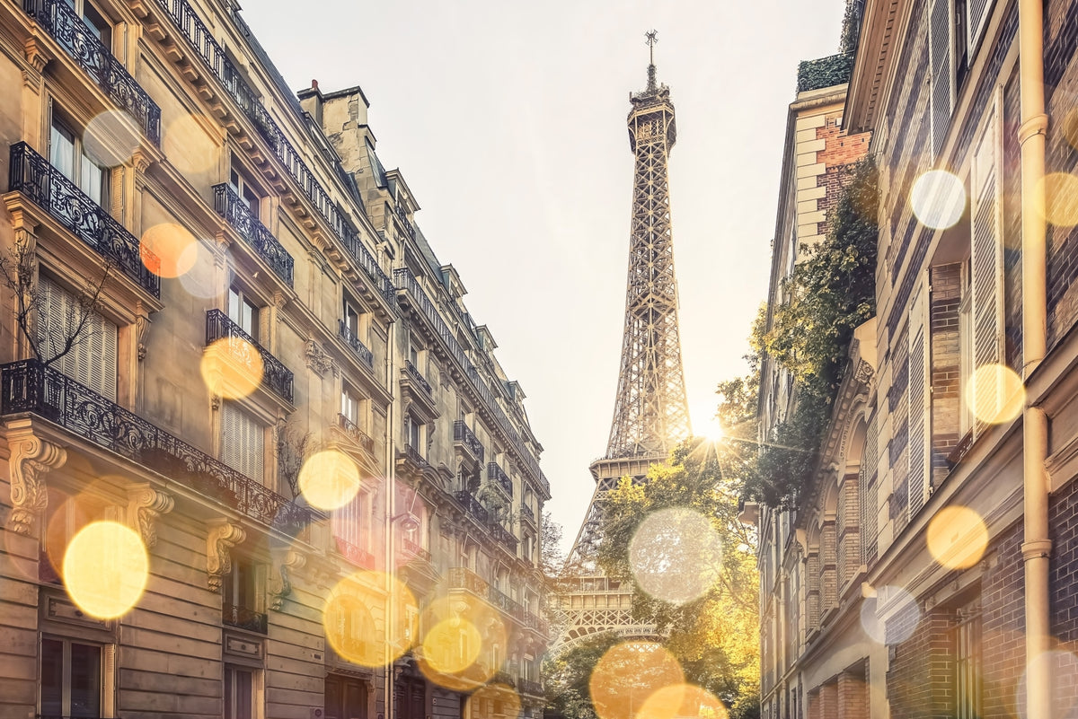 Parisian Glow Wall Mural in your room — zoomed