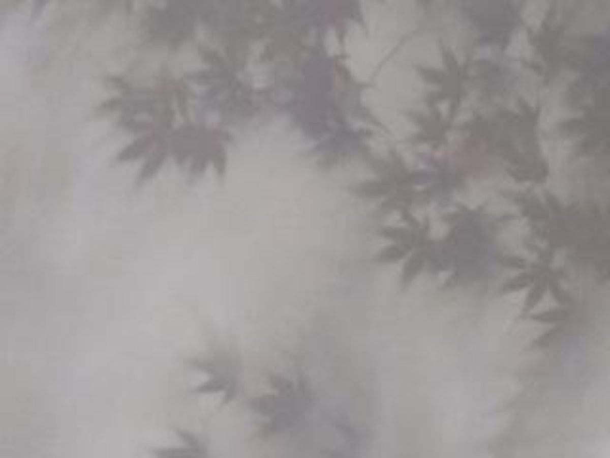 Soft Foliage Haze Wall Mural