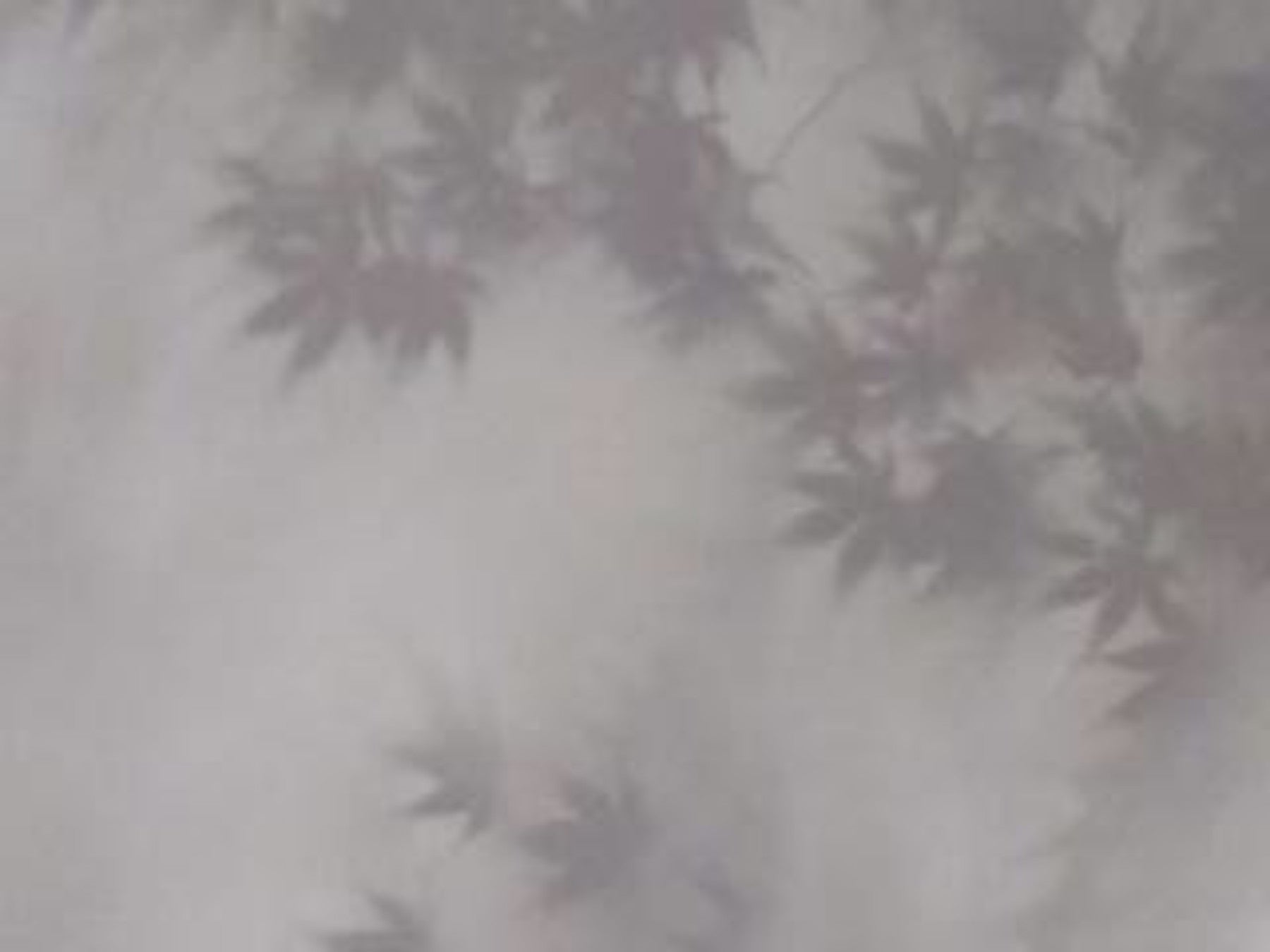 Soft Foliage Haze Wall Mural