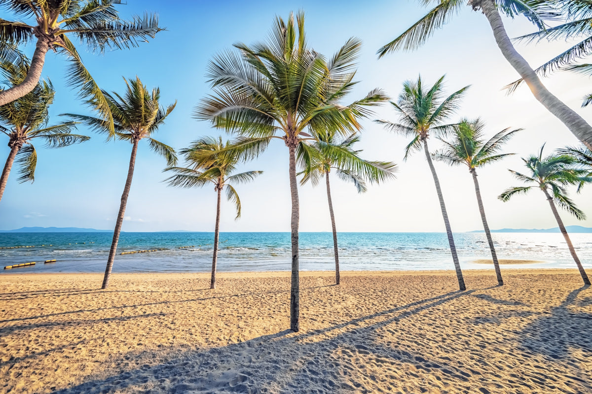 Tropical Beach Scene Wall Mural