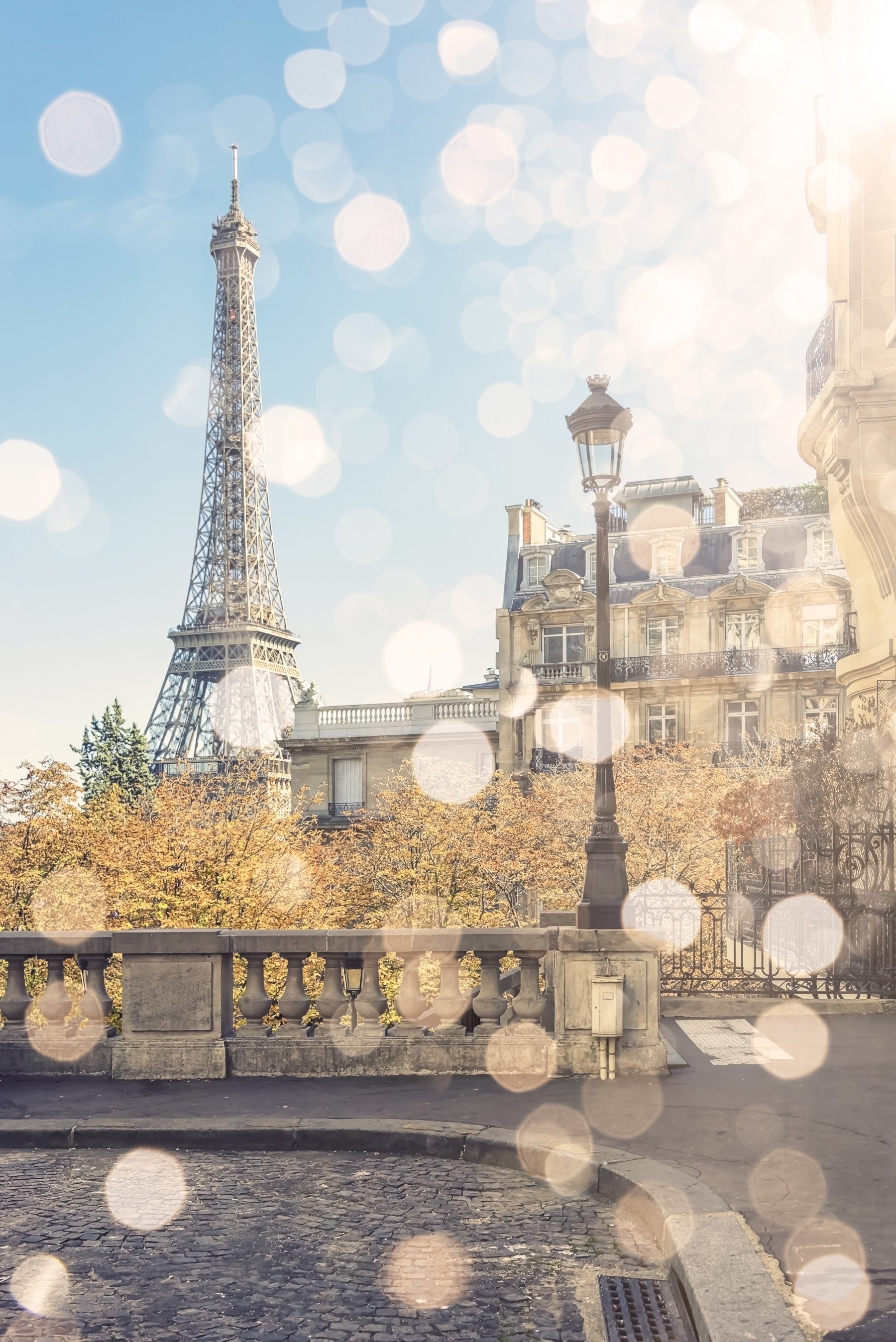 Parisian Light Wall Mural