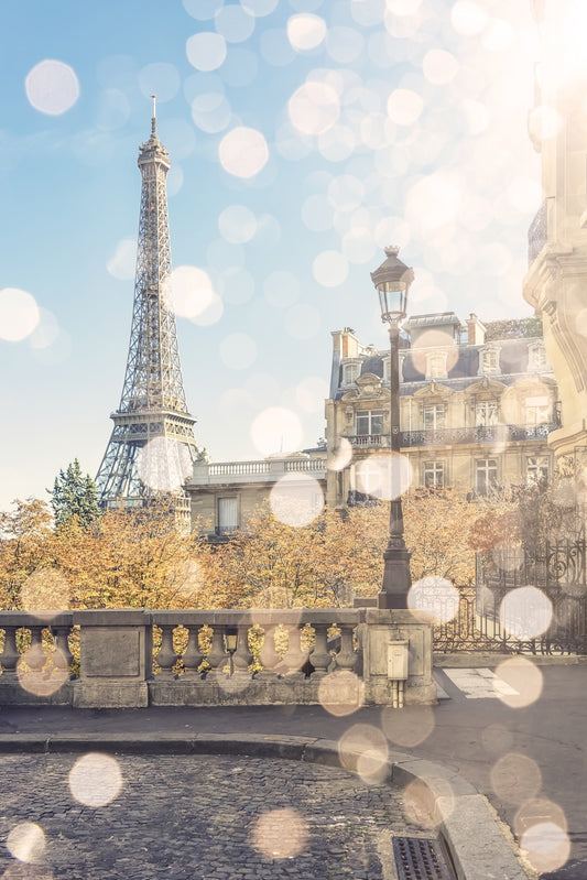 Parisian Light Wall Mural