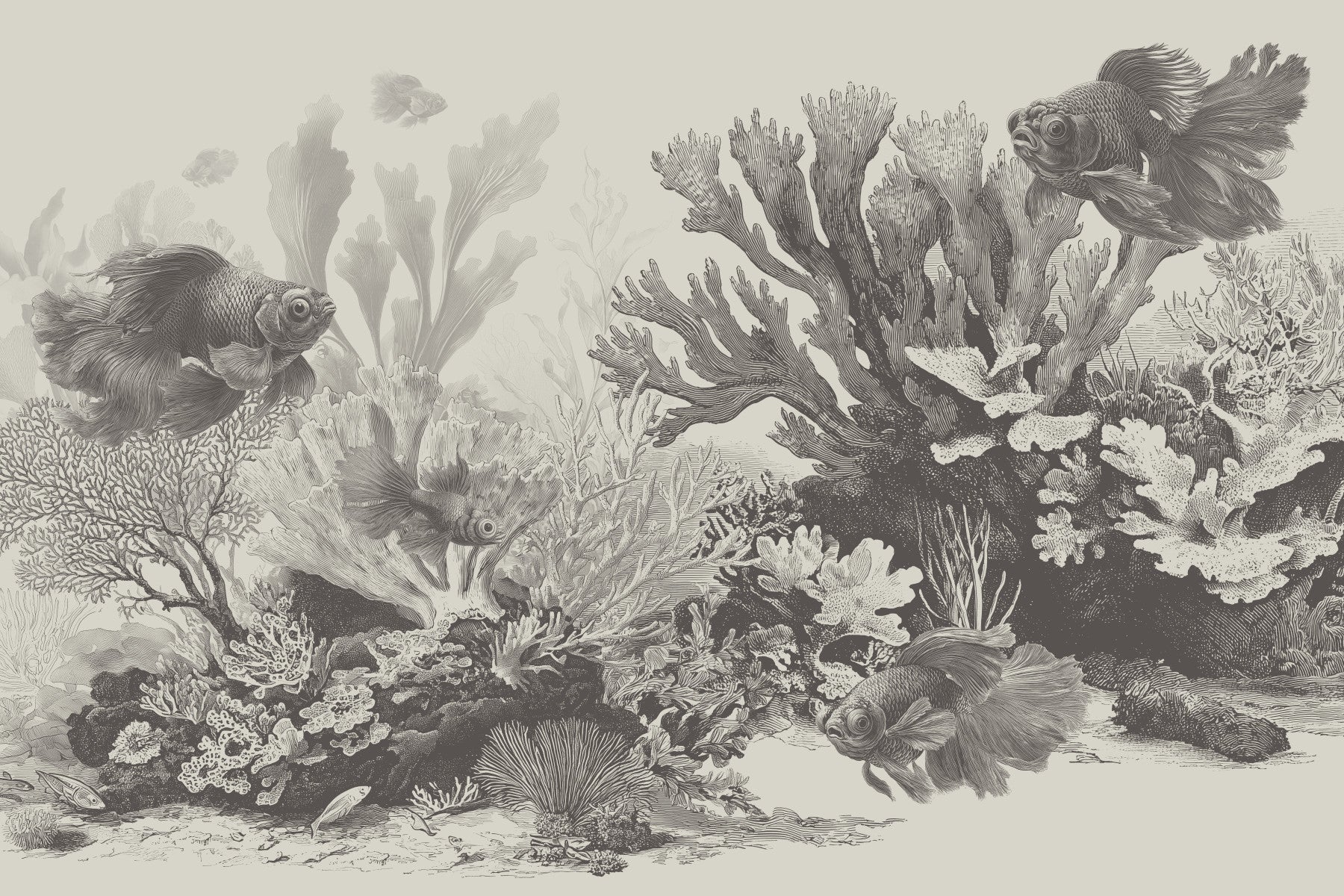 The Aquarium - Greige Wall Mural