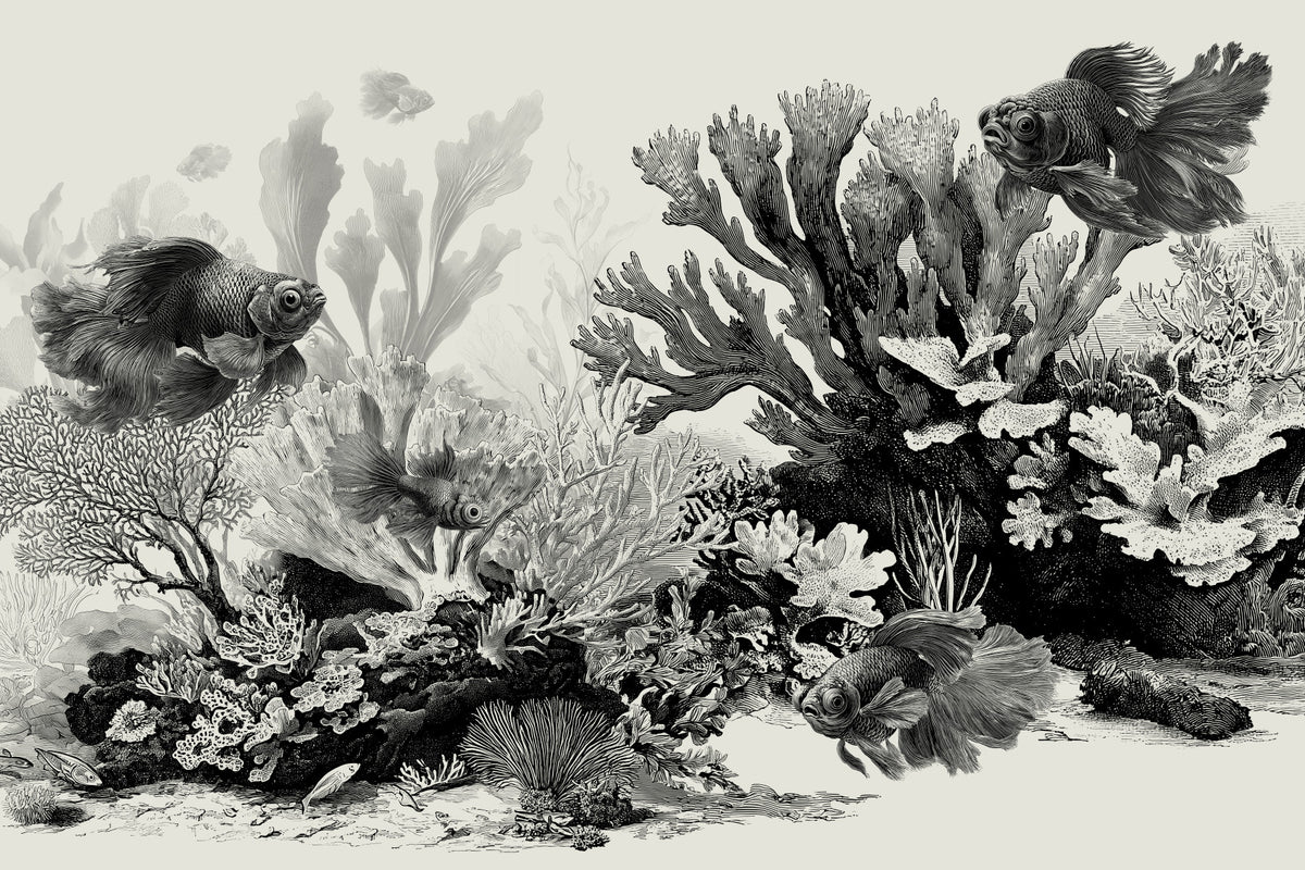 The Aquarium - Black & Cream Wall Mural in your room — zoomed