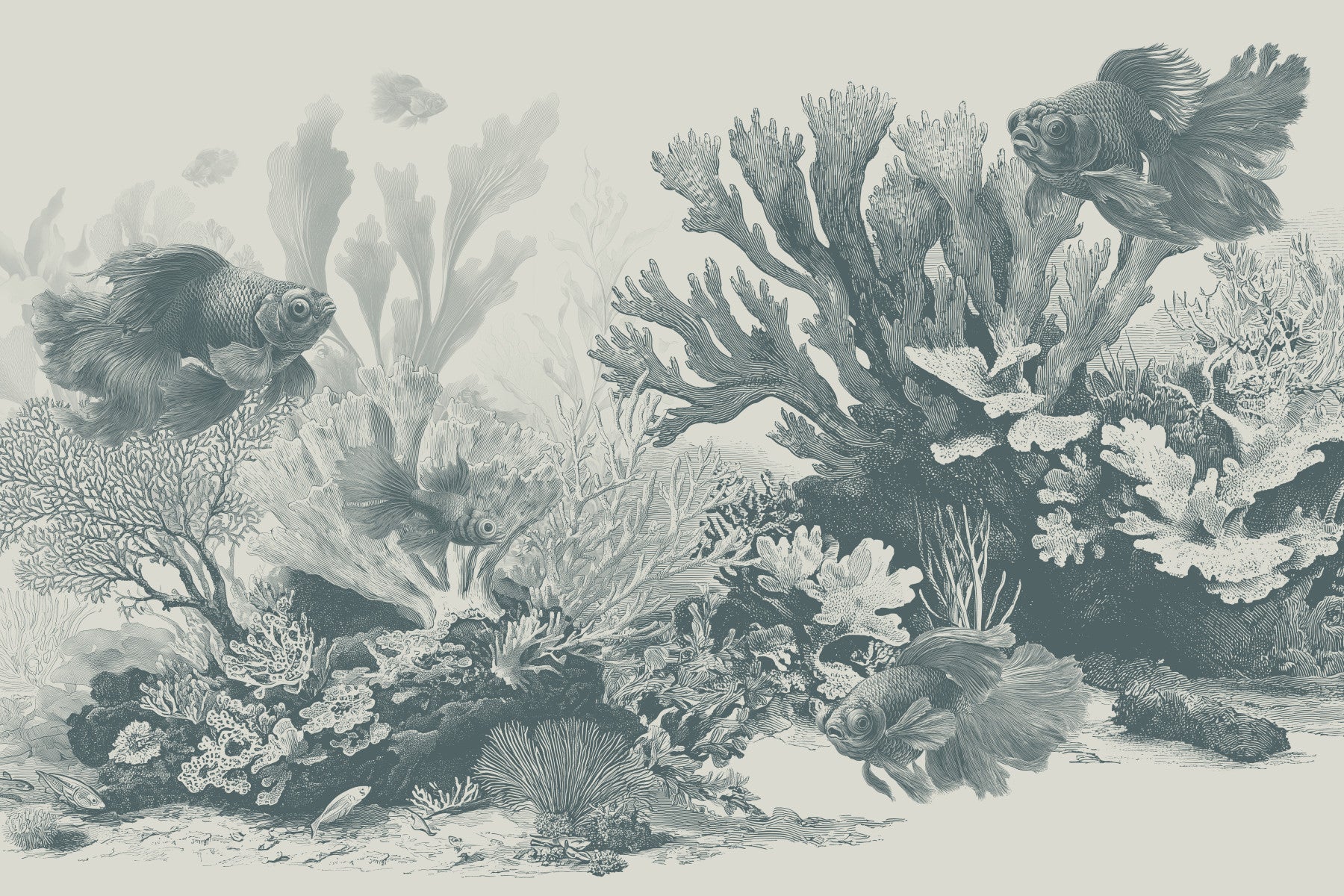 The Aquarium - Teal Wall Mural