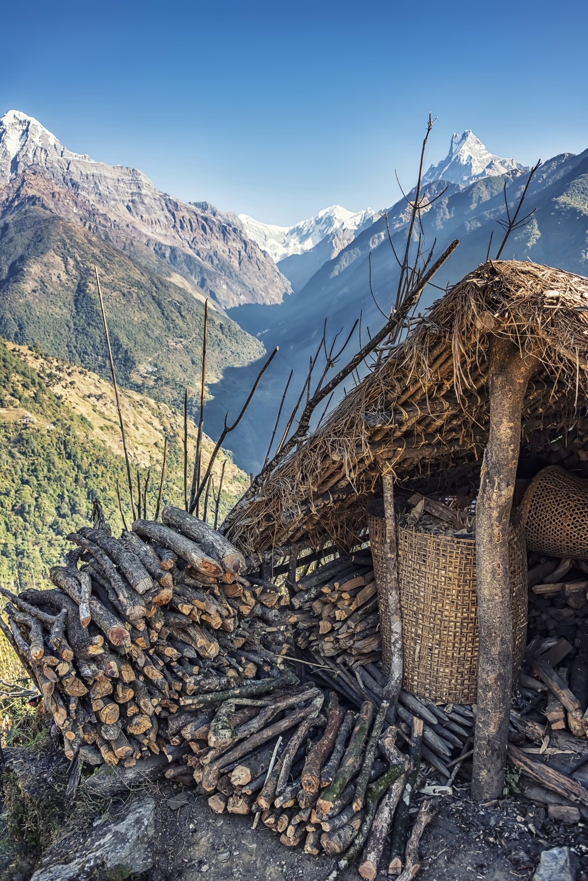 Himalayan Hideaway Wall Mural in your room — zoomed