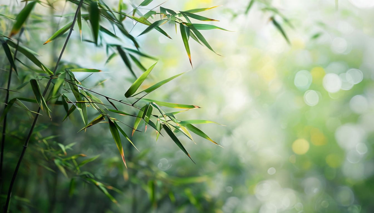 Verdant Whisper Wall Mural in your room — zoomed