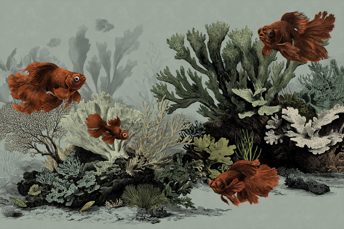 The Aquarium -  Seafoam Wall Mural in your room — zoomed