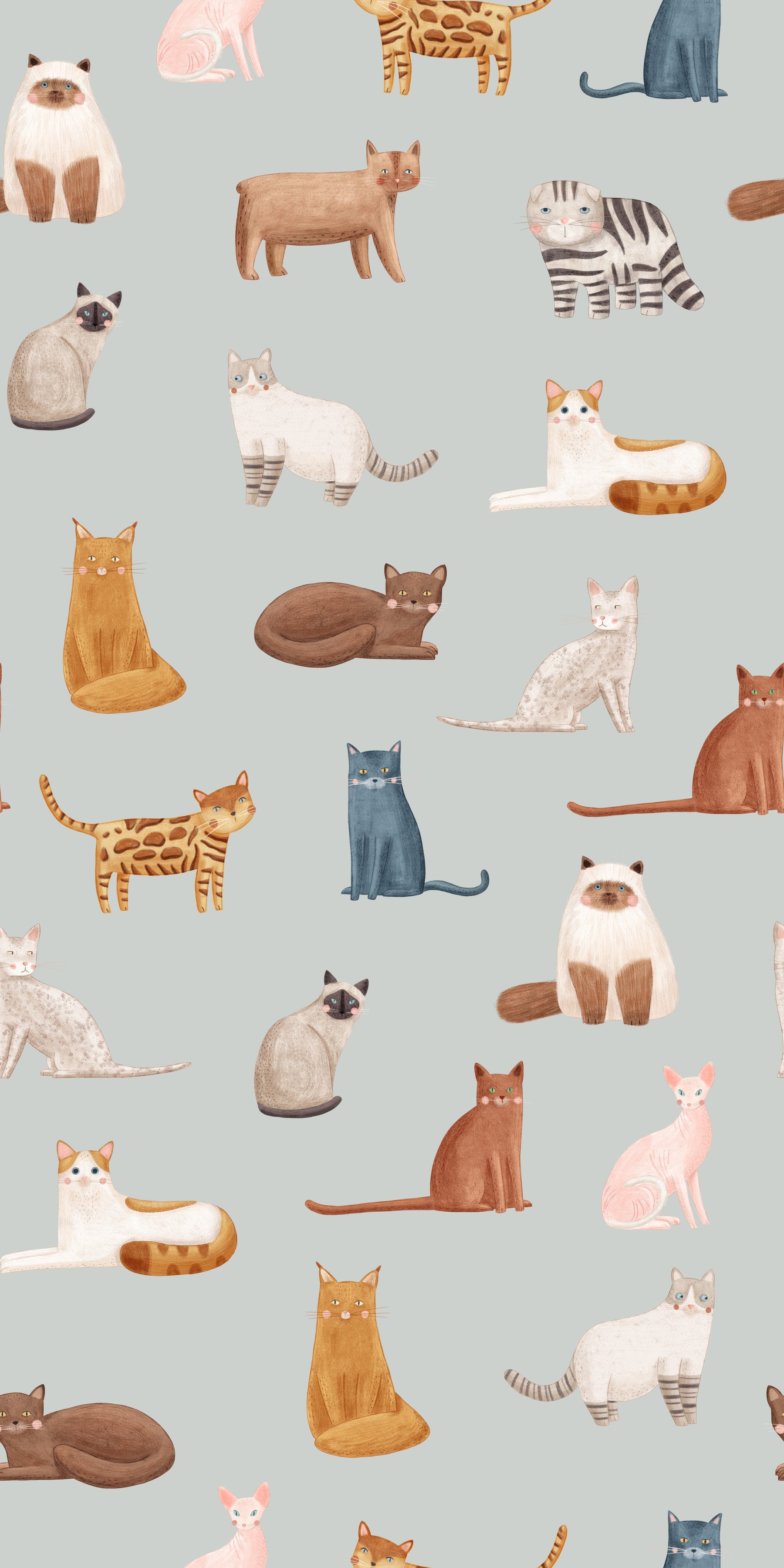 Cool Cats in blue Wallpaper⁠