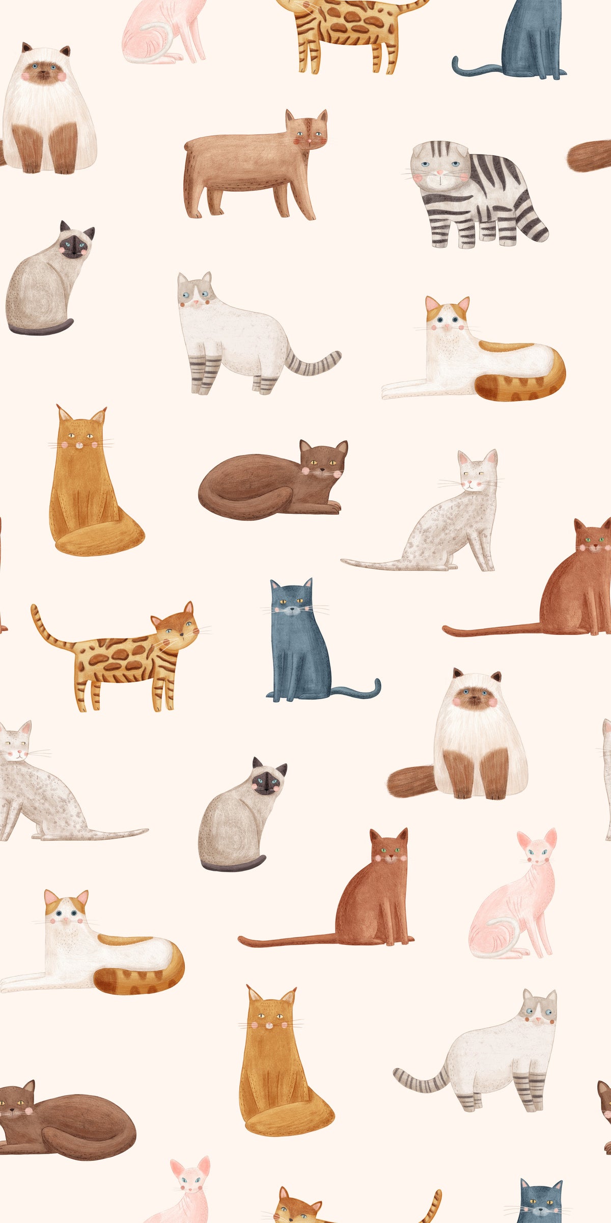 Purrfectly Cats Wallpaper⁠