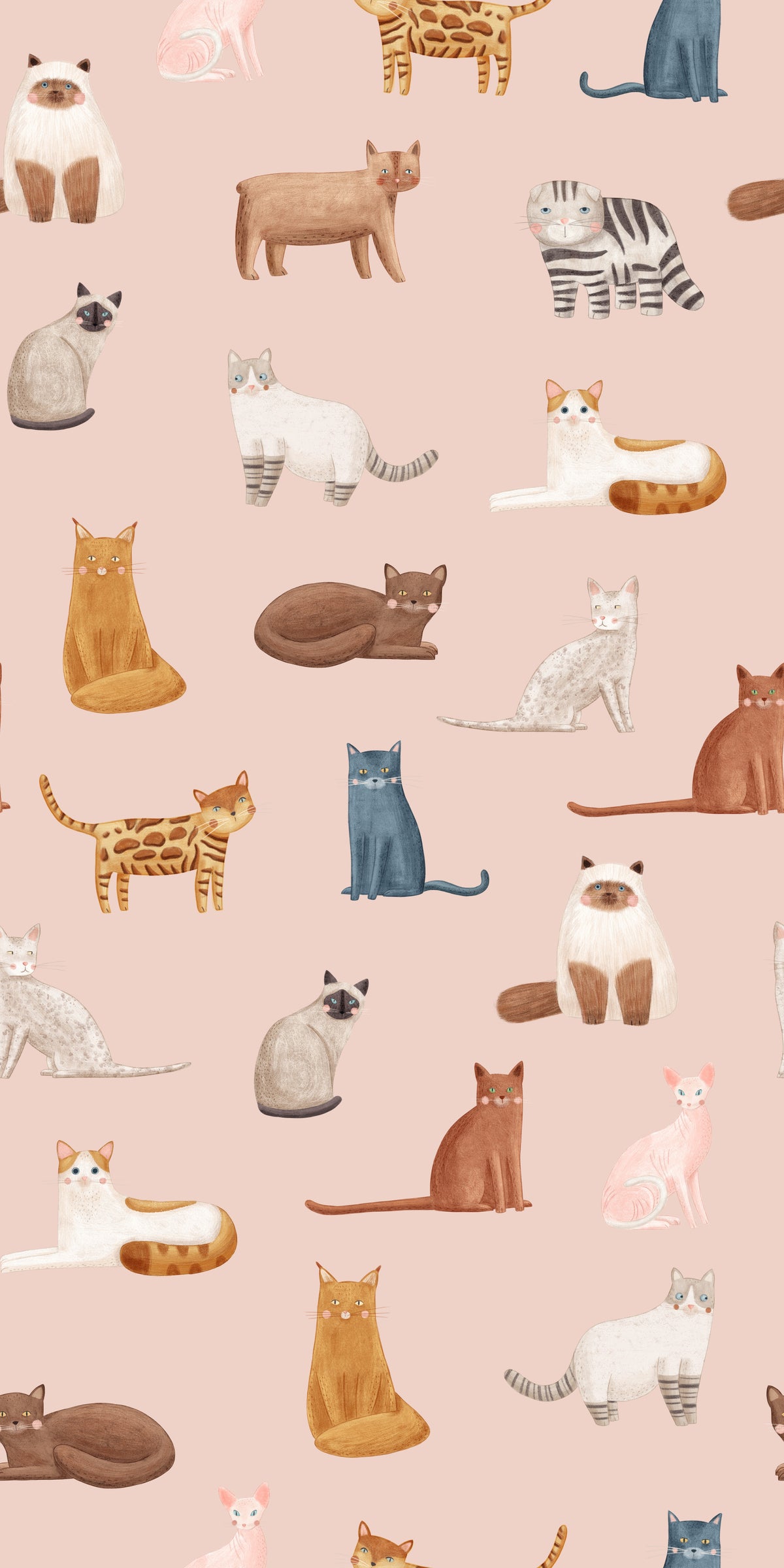 Cool Cats in Pink Wallpaper⁠ in your room — zoomed