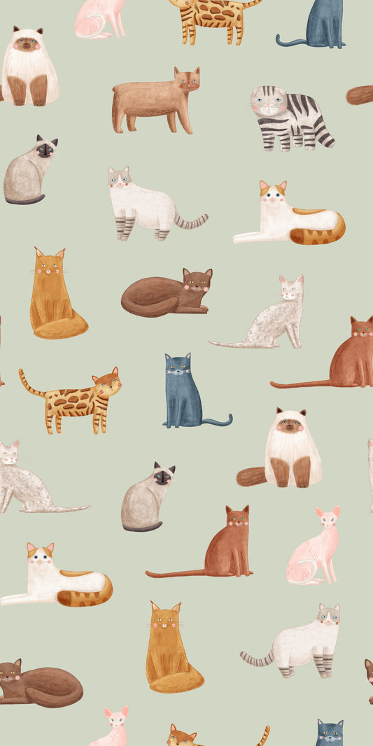 Cool Cats in Sage Green Wallpaper⁠