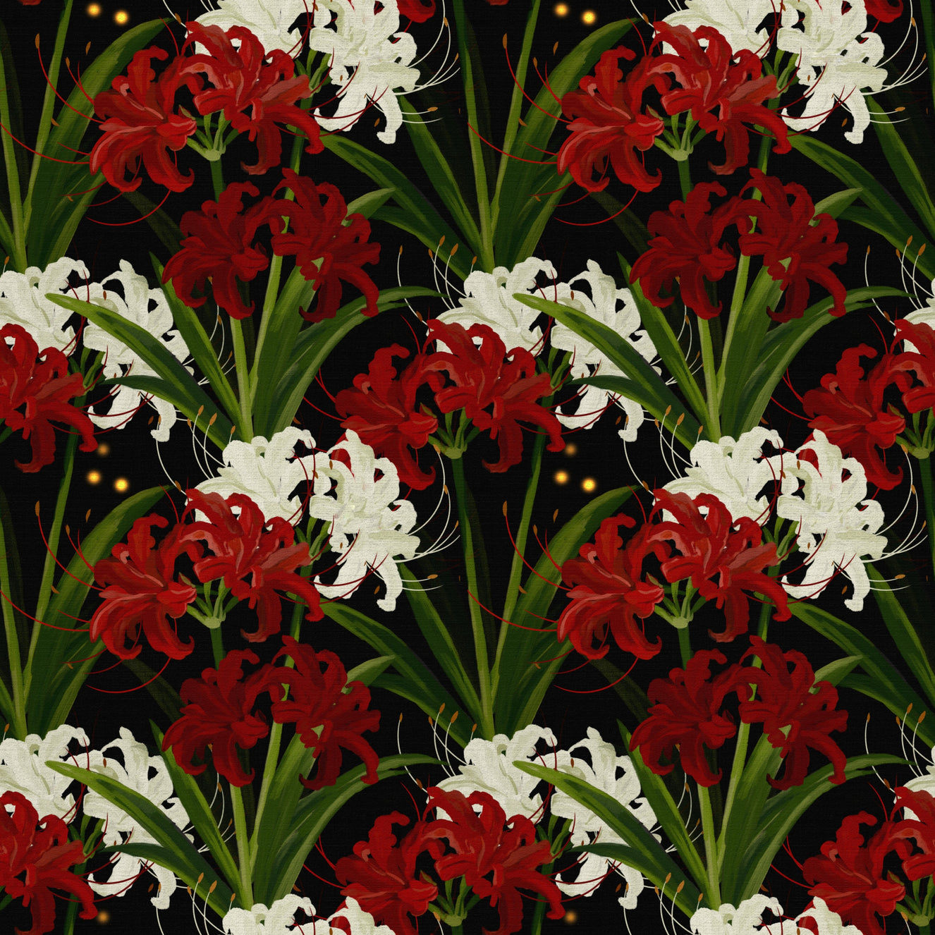 Lycoris Noir Midnight Romance white red flowers bloom Wall Mural