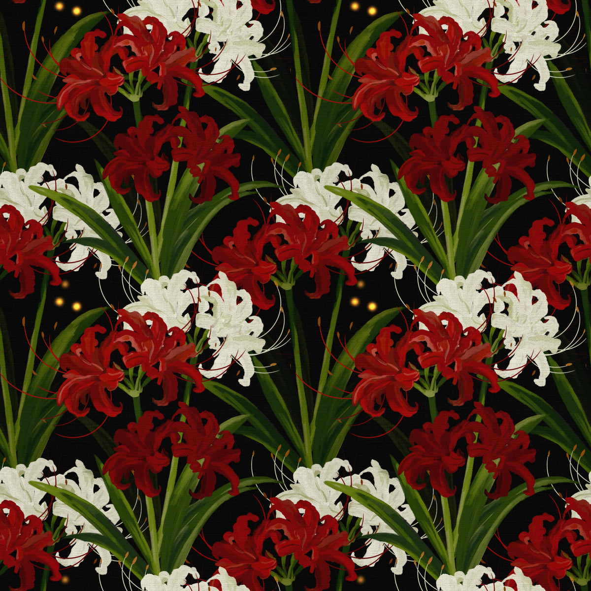 Lycoris Noir Midnight Romance white red flowers bloom Wall Mural